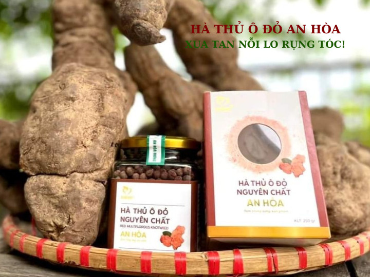 Chất lượng hàng đầu của Hà thủ ô đỏ nguyên chất An Hòa